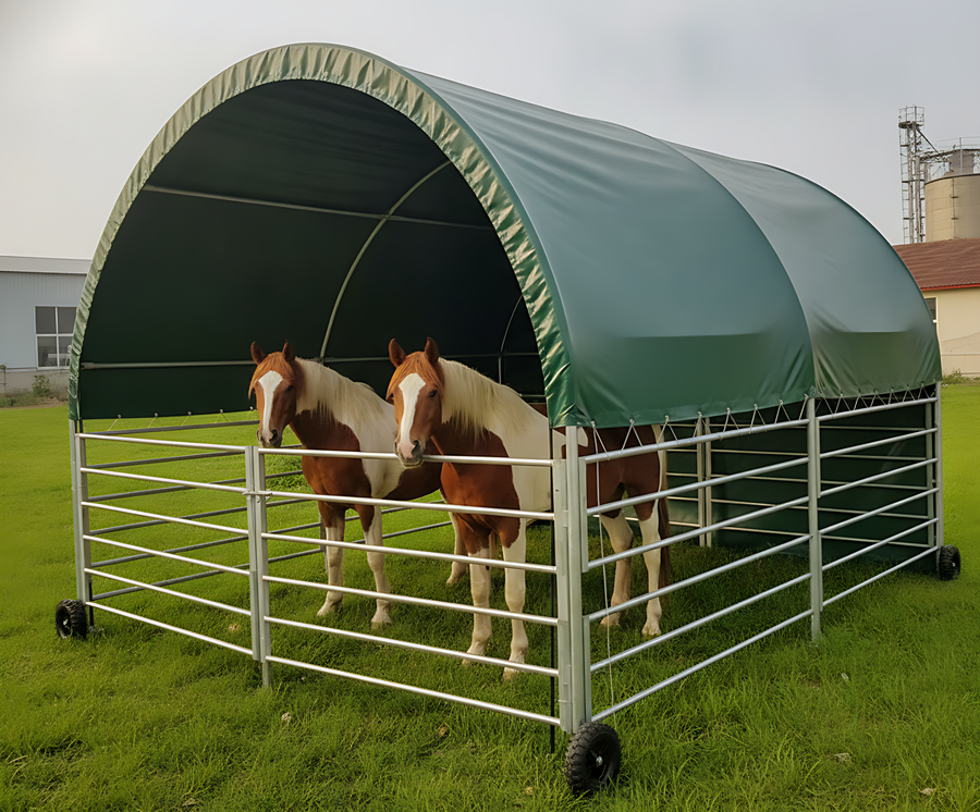 Abri de prairie pour chevaux : taille, prix et règles à connaître