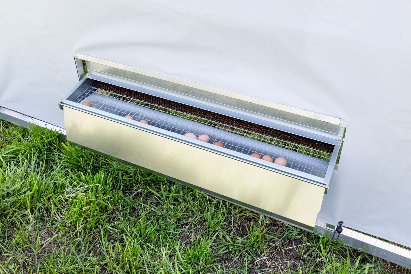 Poulailler mobile - Ecomobile7