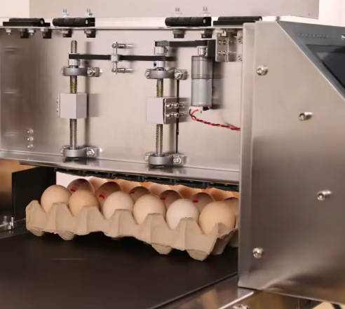 Imprimante à œufs - EggTech4000