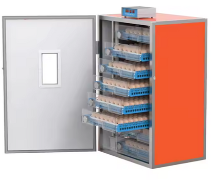 Couveuse Automatique 512 oeufs - Coloricouv