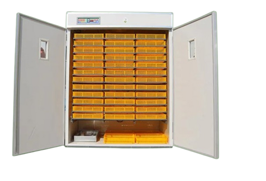 Couveuse Automatique 6336 œufs - Remucouv