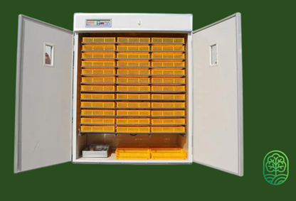 Couveuse Automatique Professionnelle 4224 oeufs - Sinacouv