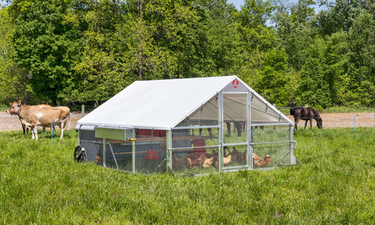 Poulailler mobile - Ecomobile12