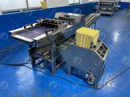 Emballeuse automatique d'œufs EggPack avec plateaux alvéolés et convoyeur de sortie