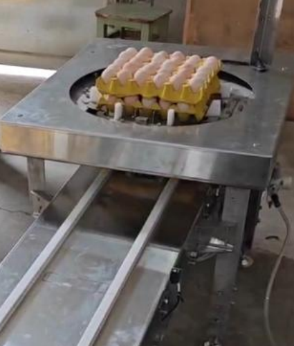 Empileuse automatique de plateaux d'œufs en option sur l'EggPack