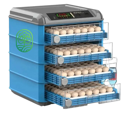 Couveuse Automatique 500 oeufs - Lomicouv500