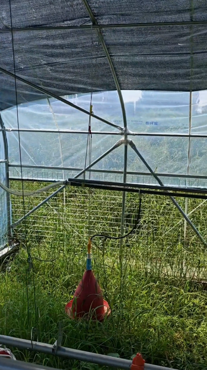 Poulailler Mobile Poule Pondeuse - PouleMaxBio