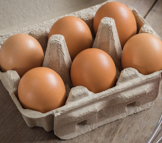 Kit œufs étalon - EggKit60