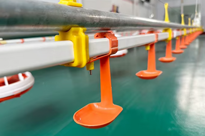Abreuvoir à pipette pour poules - ligne complète DrinkLine67