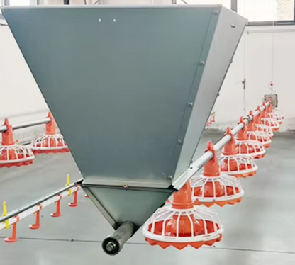 Mangeoire automatique pour poules - ligne complète FeedLine55
