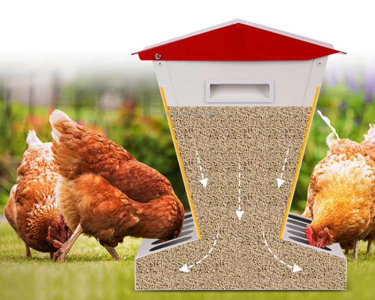 Mangeoire poule métal 5 postes avec toit - TremieMax