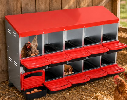 Pondoir poule  - NidRoll10