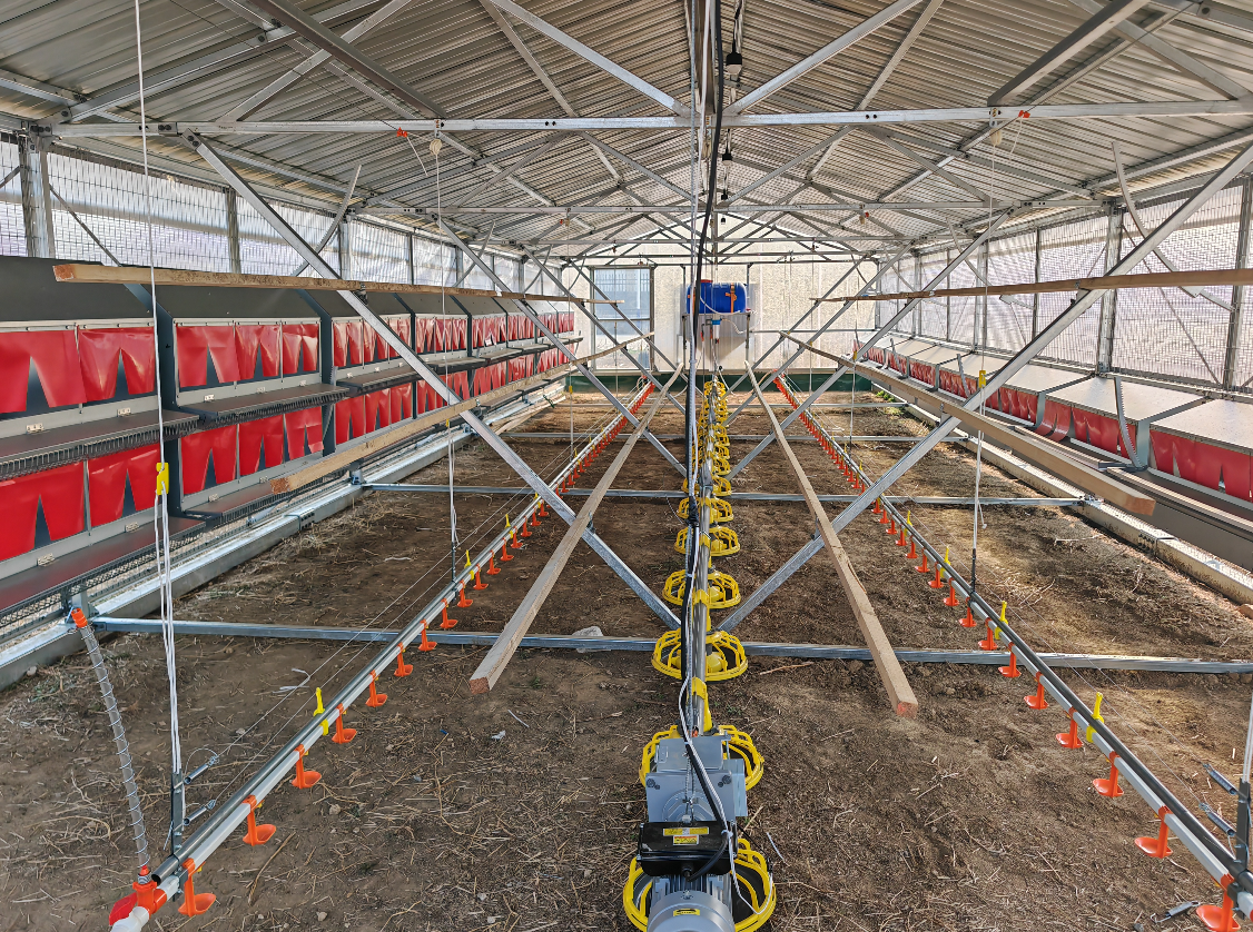 Poulailler Mobile Poule Pondeuse Bio - PMB