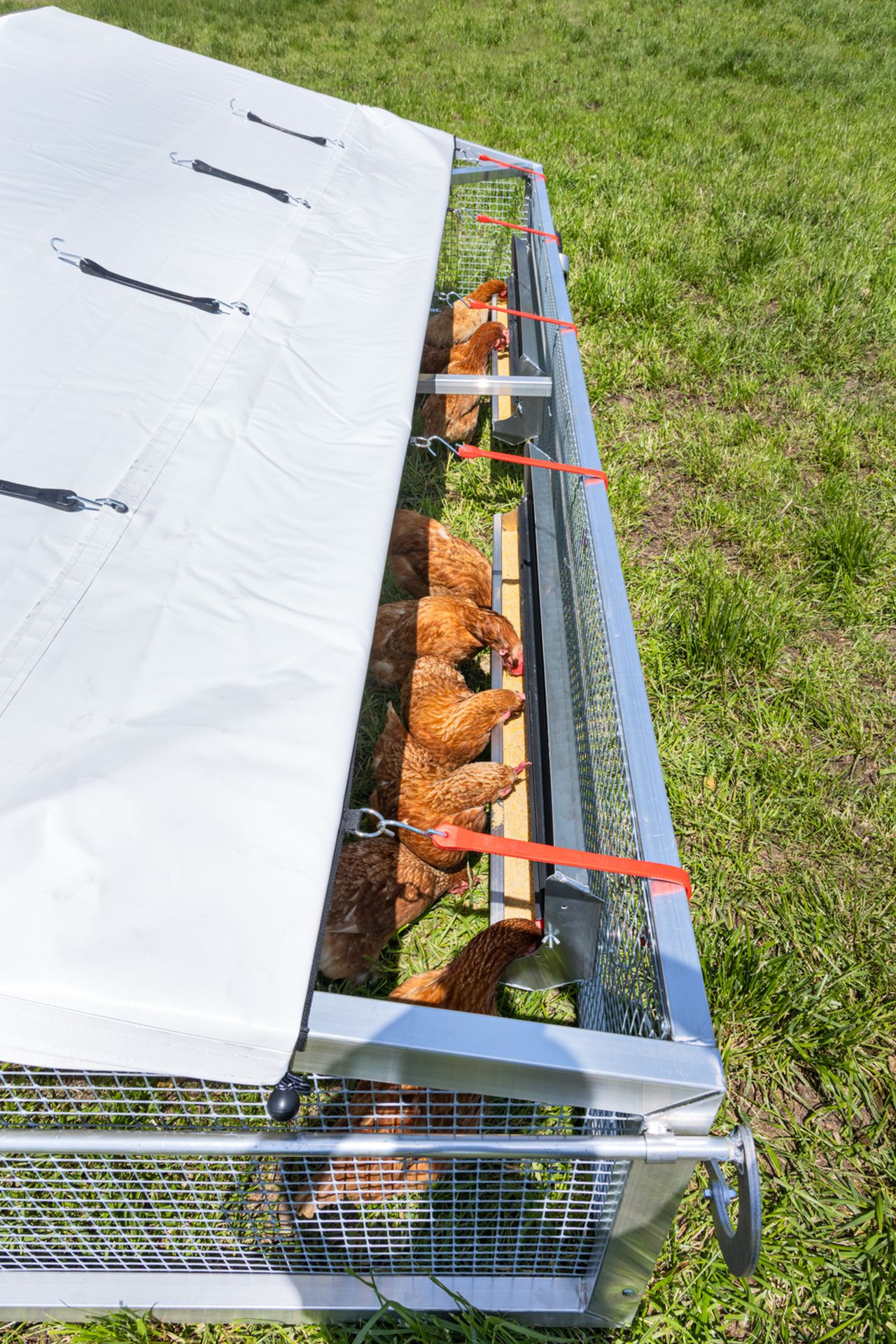 Poulailler mobile - Ecomobile7