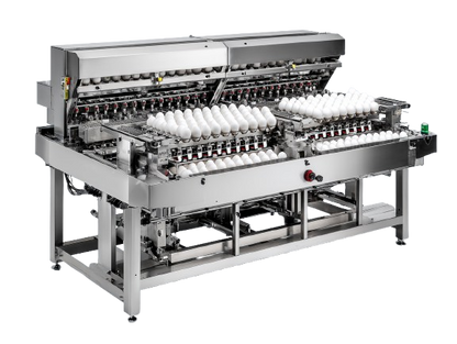 Centre de conditionnement 10 000 œufs / heure  - PLE10K